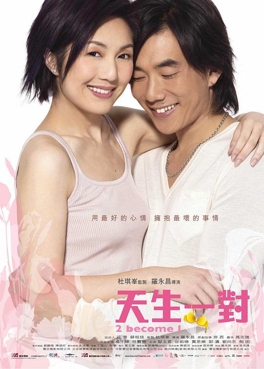 天生一对 封面
