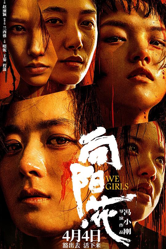 向阳·花 封面