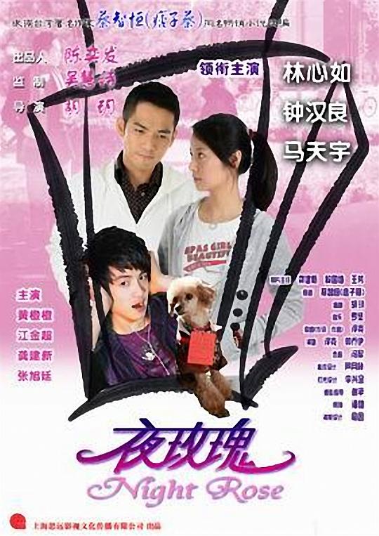 夜玫瑰 封面
