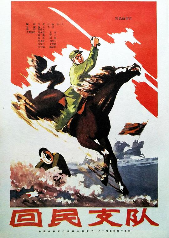 回民支队 封面