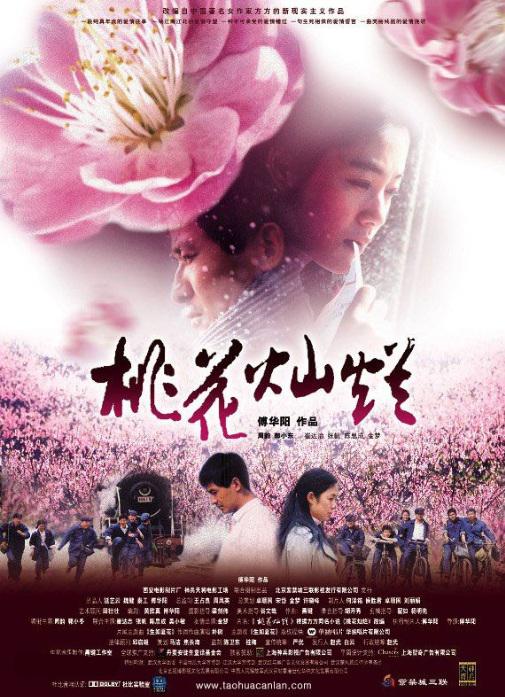 桃花灿烂 封面