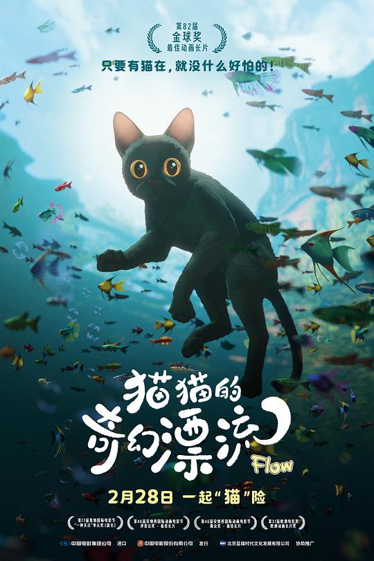 猫猫的奇幻漂流 封面