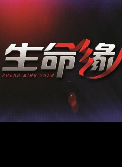 生命缘 第四季 封面