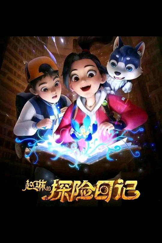 赵琳的探险日记 封面