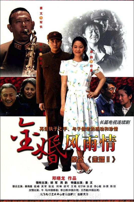 金婚·风雨情 封面