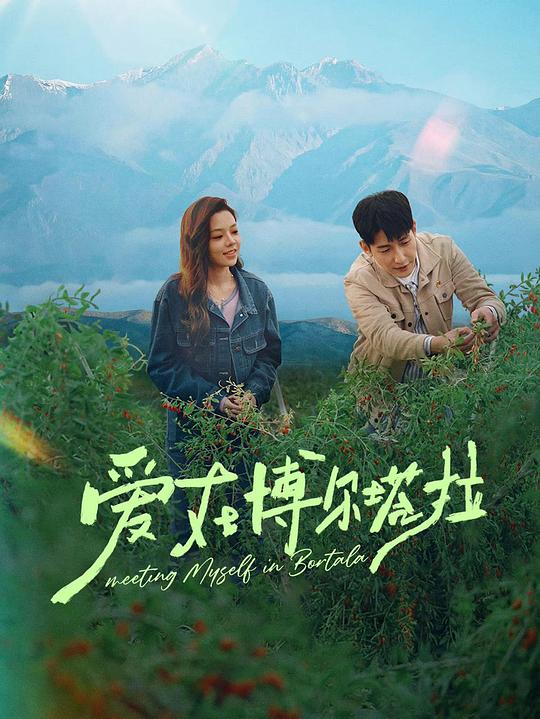 爱在博尔塔拉 封面